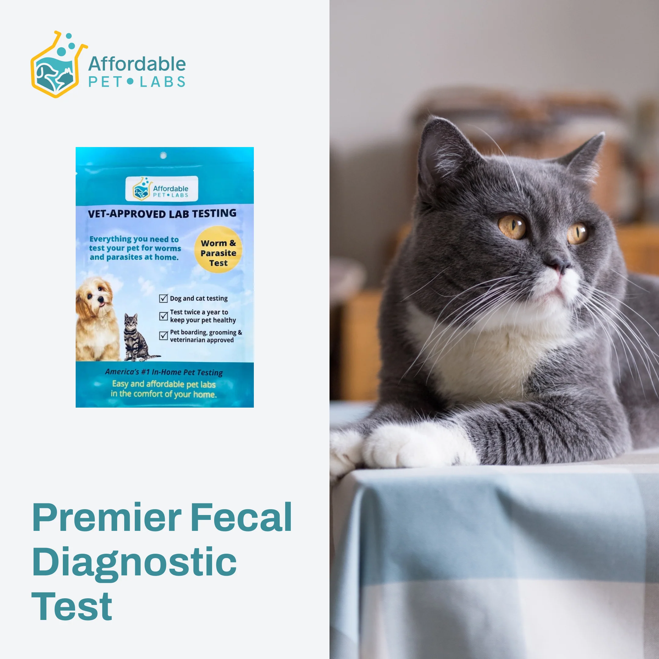 Test for Cats